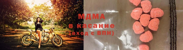 ПСИЛОЦИБИНОВЫЕ ГРИБЫ Абаза