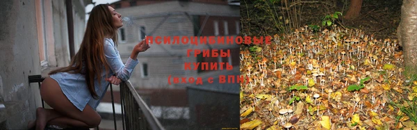 трава Алексин