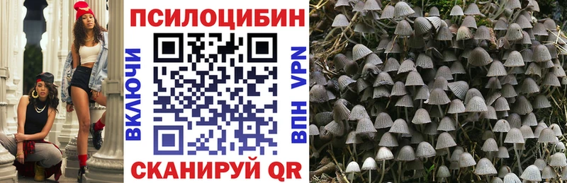 сайты даркнета состав как найти наркотики Новоалтайск Псилоцибиновые грибы Psilocybine cubensis MEGA онион