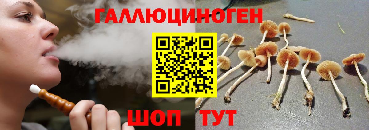 Галлюциногенные грибы Cubensis Новоалтайск