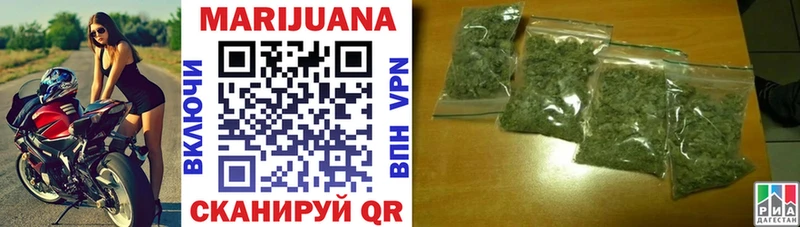 как найти наркотики Новоалтайск Конопля сатива
